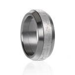 Meteorite and steel ring