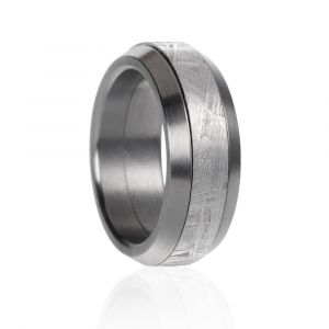 Meteorite and steel ring